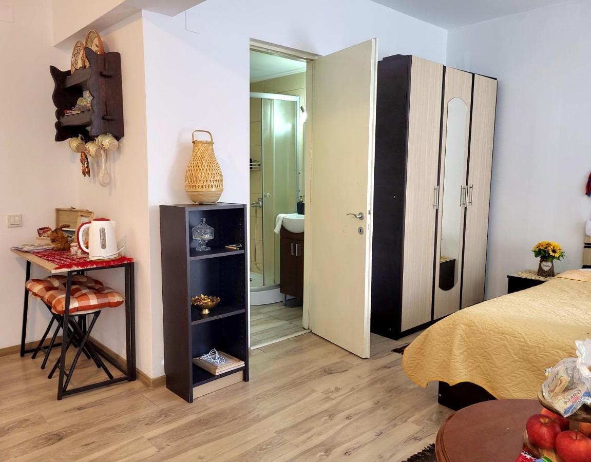 Traditional Romanian Apartments Βουκουρέστι Εξωτερικό φωτογραφία